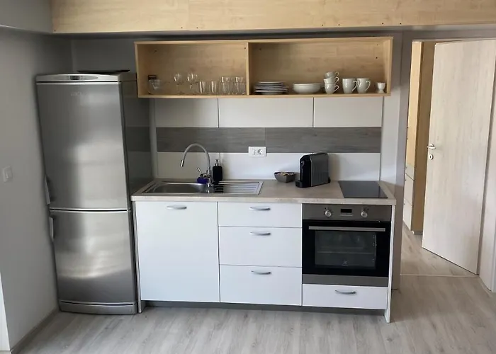 Apartma Vovk דירה מויסטראנה